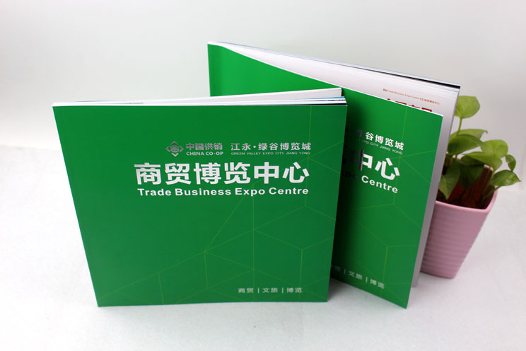 江永商貿博覽中心樓書(shū)畫(huà)冊